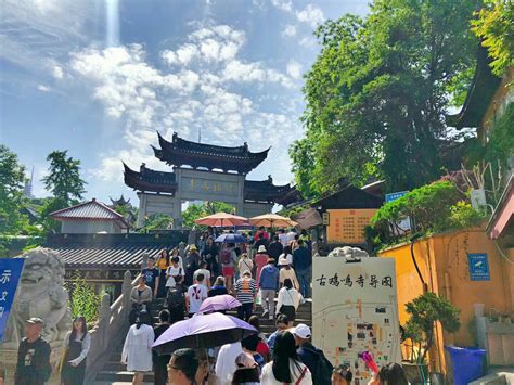 【高清图】南京--古鸡鸣寺赏樱花-中关村在线摄影论坛