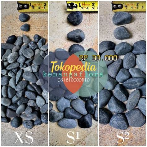 Jual Batu Koral Hitam Bengkulu 13KG S - Jakarta Selatan - Kenanga Flora ...