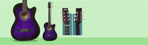 Intern INT-38C Acoustic Guitar Kit (Purple) : Amazon.in