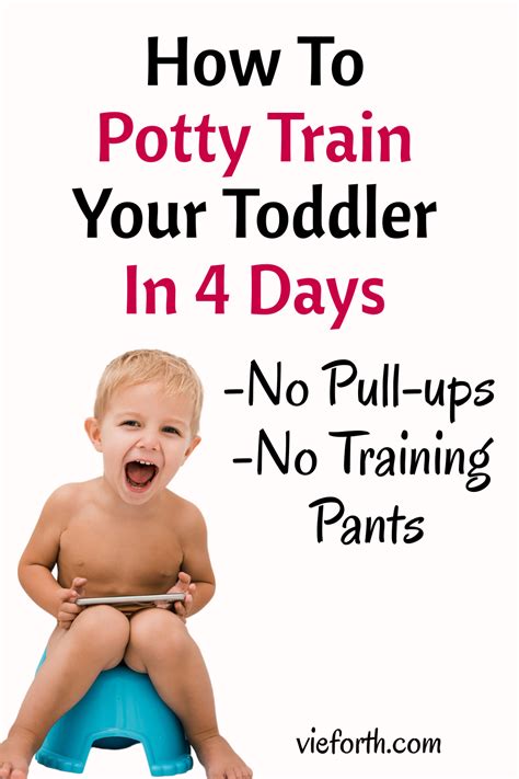 how to potty train a puppy 12 weeks