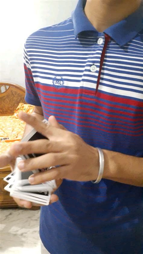 Herman Pass Tutorial 的图像结果