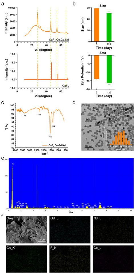 Rare-Earth-Metal (Nd3+, Ce3+ and Gd3+)-Doped CaF2: Nanoparticles for ...