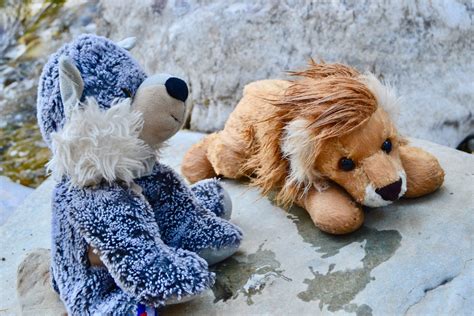 Simple Stories in Spanish: Toothclaw y el arroyo Grizzly - Small Town ...