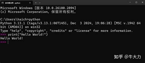 Python Zero Installieren 的图像结果