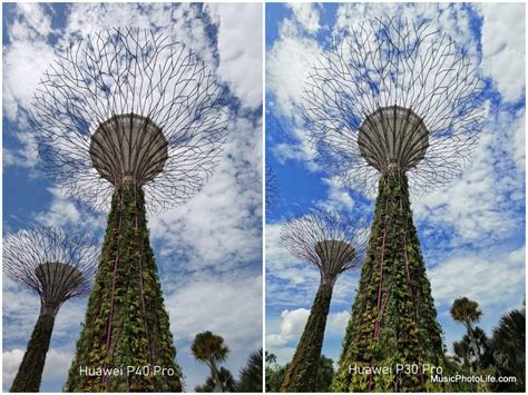 Camera 手机 的图像结果