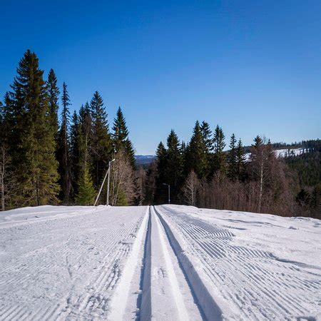 Hallsta ski (Sollefteå) - 2022 What to Know Before You Go (with Photos ...