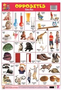 NON TERRIBLE OF PLASTIC CHART OF OPPOSITE: Buy NON TERRIBLE OF PLASTIC ...