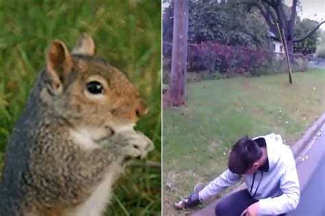 Image result for Girls Running Over Squirrels with Their Cars