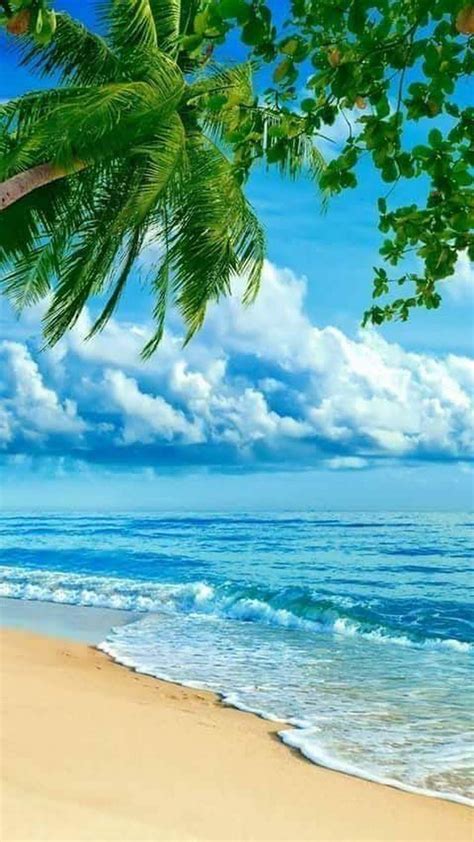 beach pictures free