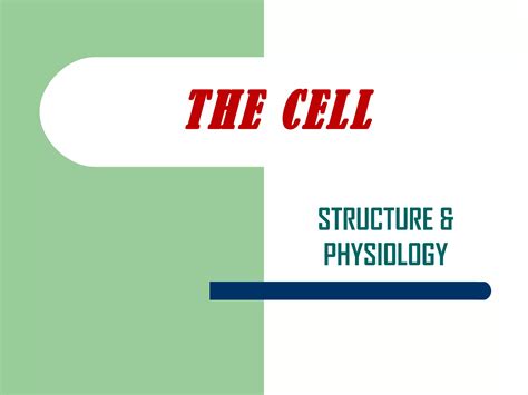 Image result for Crash Course Cell Structure