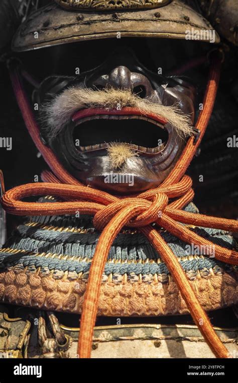 Japan Samurai 的图像结果