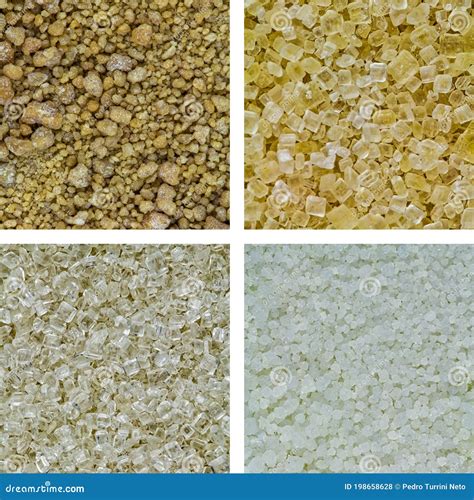 Types of Sugars. Square Mosaic with Close Up of 4 Types of Sugar, Brown ...
