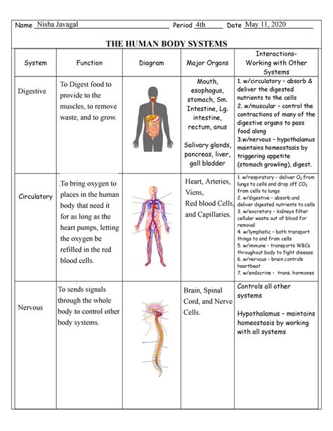 Biology About Human Body 的图像结果