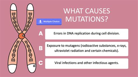 Formative Assessment Examples for Science 的图像结果
