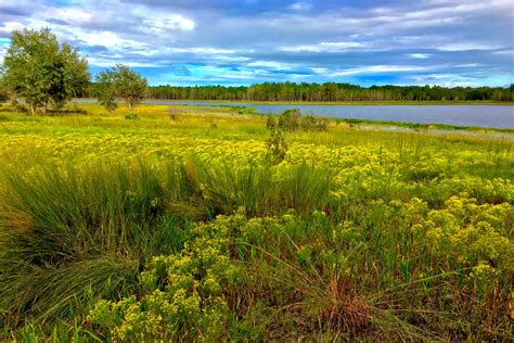 Florida State Parks in Tallahassee | VISIT FLORIDA