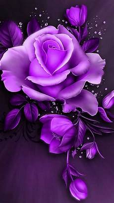 Beautiful Pink Image by Beautiful Pink Wallpapers Images Purple Beautiful Pink Image