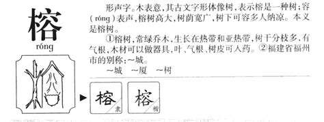 榕字的笔顺-榕笔画顺序 部首木 - 老师板报网