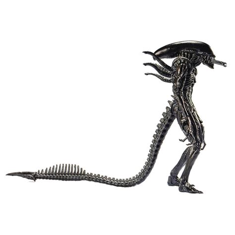 Image result for Alien vs Predator Action Figures