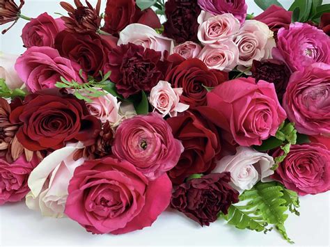 Pantone Color 2023: Viva Magenta - Blooms By The Box