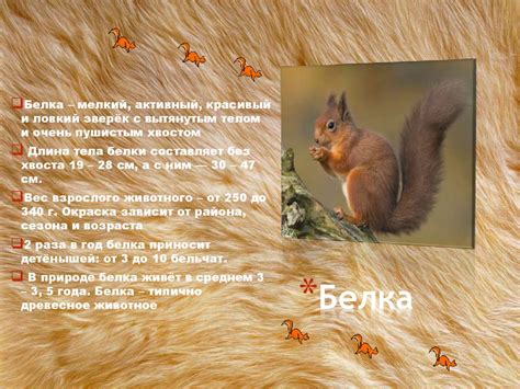 Пушное звероводство - презентация онлайн