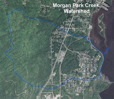 LakeSuperiorStreams - Morgan Park Creek Maps