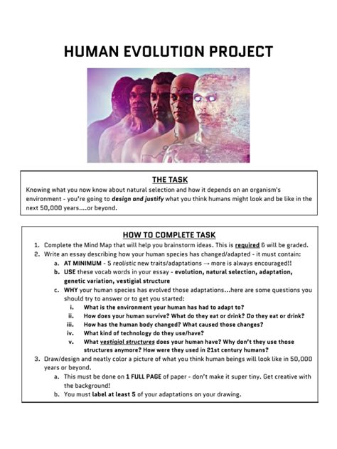 How to Use Project Evolution Script 的图像结果