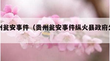 贵州瓮安县6.28事件现场[组图]_资讯_凤凰网