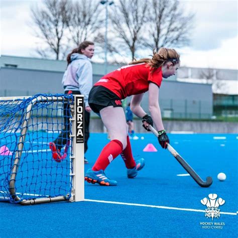 Land Hockey 的图像结果