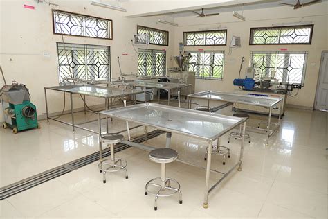 Dr. M.G.R. Fisheries College and Research Institute, Ponneri