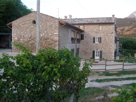 GHIANDE E ALI DI LIBELLULA (Rivoli Veronese) - Farmhouse Reviews ...