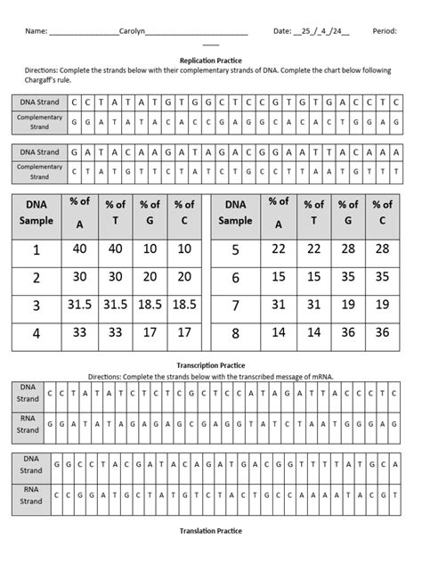 Image result for Protein Synthesis Practice Sheet the Genetic Code