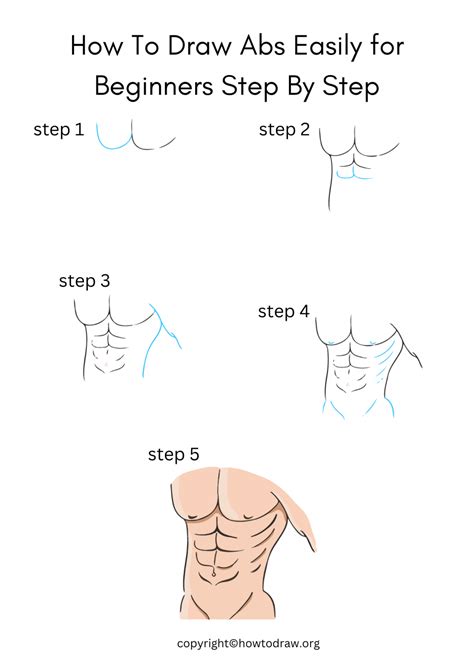 Image result for Draw Abs for Beginners