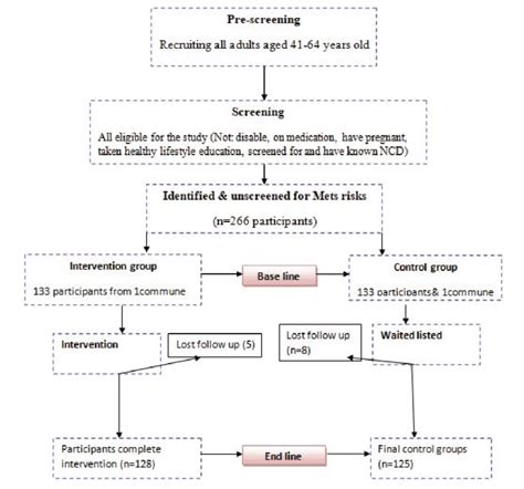 Research Procedure Example 的图像结果
