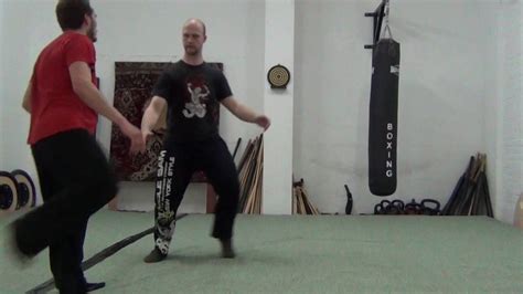 Systema 的图像结果