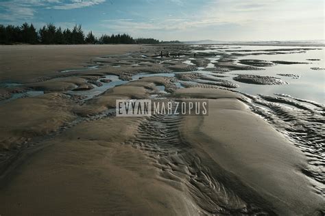 Alien Beach Brazil 的图像结果