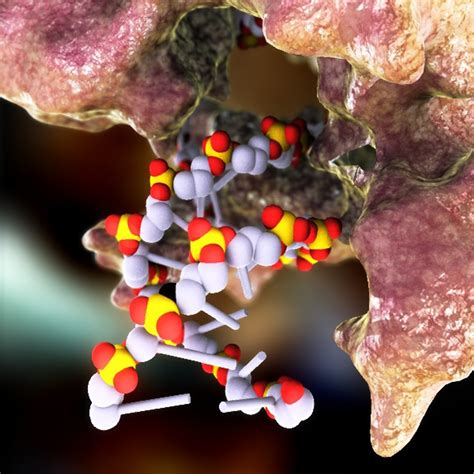 RNA Model 的图像结果