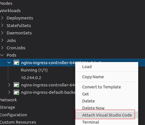 VS Code Attach to Container 的图像结果