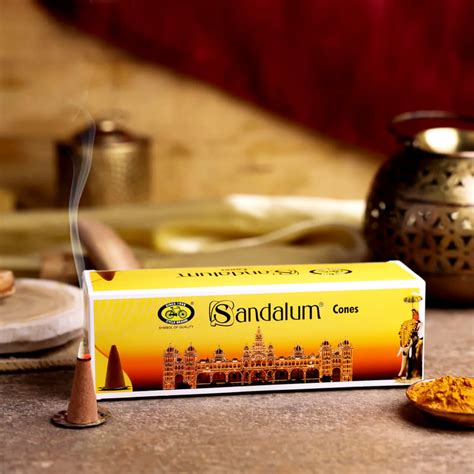 Buy Best Cycle's Cones Online In India | Cycle.in