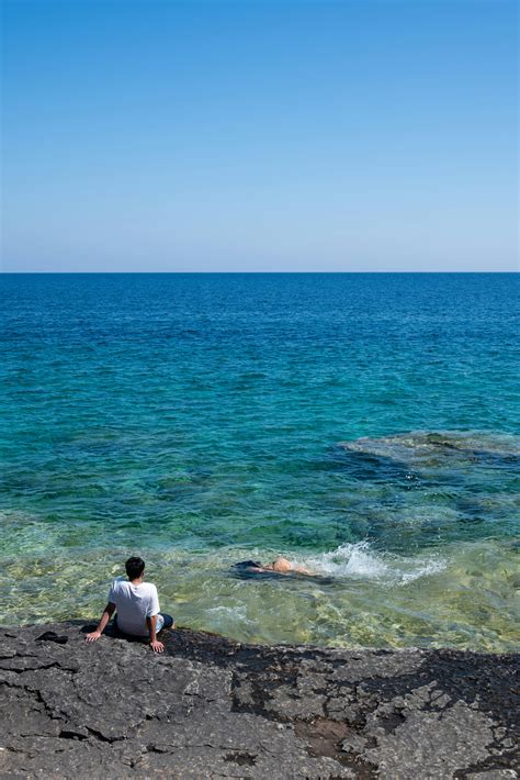 Swimming Outside 的图像结果