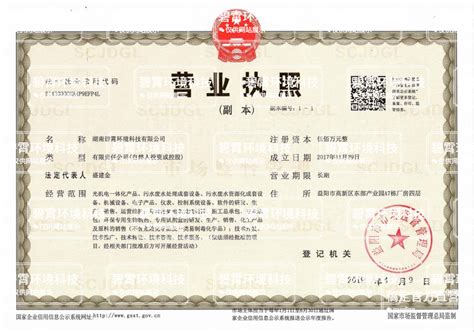湖南发放首张“五证合一”营业执照 原证照2018年前有效|营业执照|代码|企业_新浪新闻