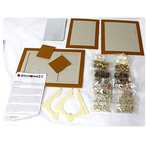 Buy Toykraft Shellbound 1 - Learning Activity Craft DIY Kit for Kids ...