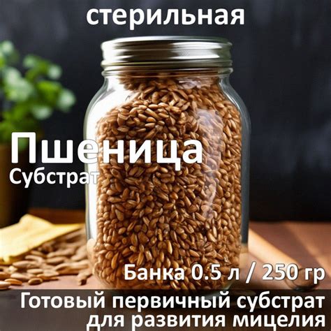 Субстрат для грибов - пшеница стерильная 0.5 л x 12 - купить по низкой ...