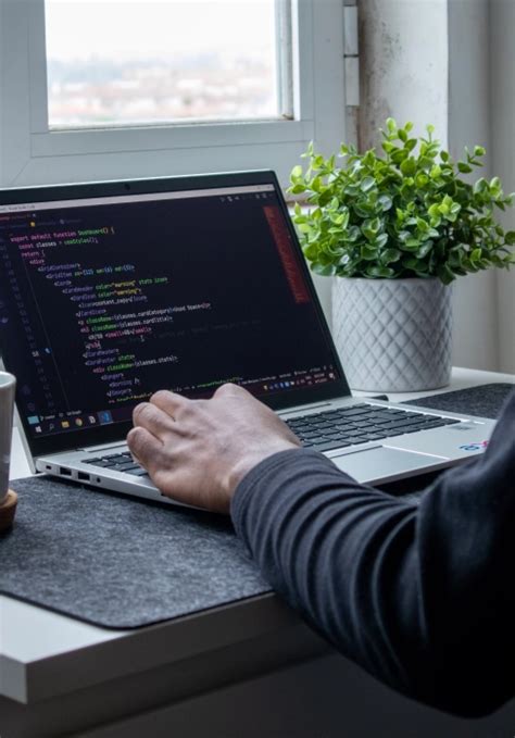 Net Core Development 的图像结果