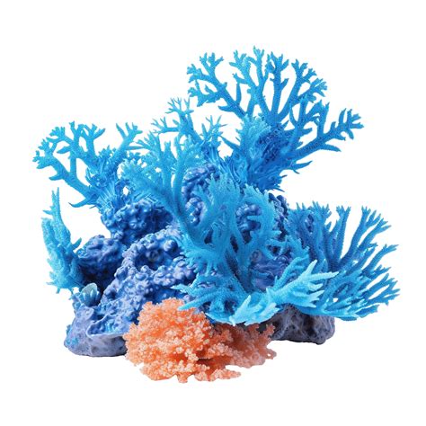 Blue Coral Reef, Coral, Coral Reef, Sea PNG Transparent Image and ...