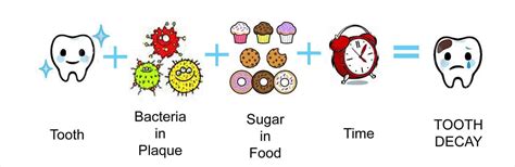 HOW IS A CAVITY FORMED?