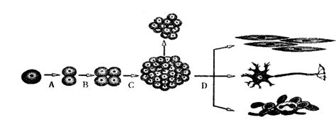 Image result for Easy Experiments with Fire
