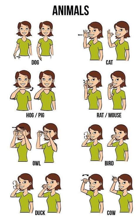 Image result for Read ASL Sign