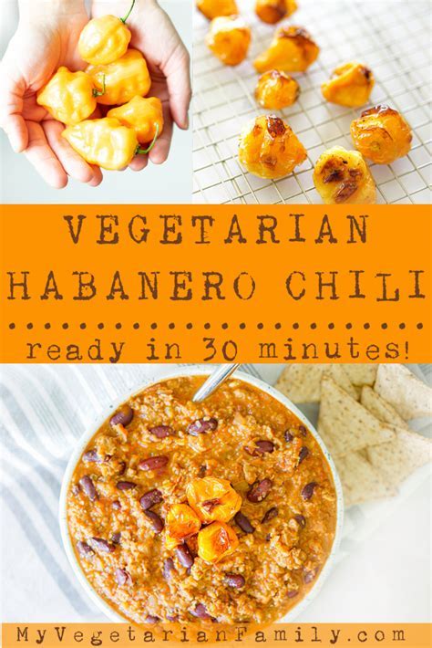 vegetarian habanero recipesDownload it from vegetarian habanero recipes ...