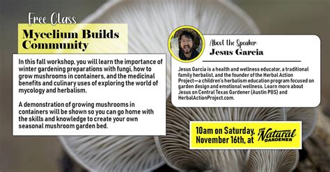 Free Class: Mycelium Builds Community, 8648 Old Bee Caves Rd, Austin ...