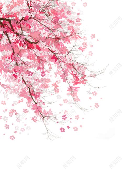 唯美樱花树花瓣素材免费下载 - 觅知网
